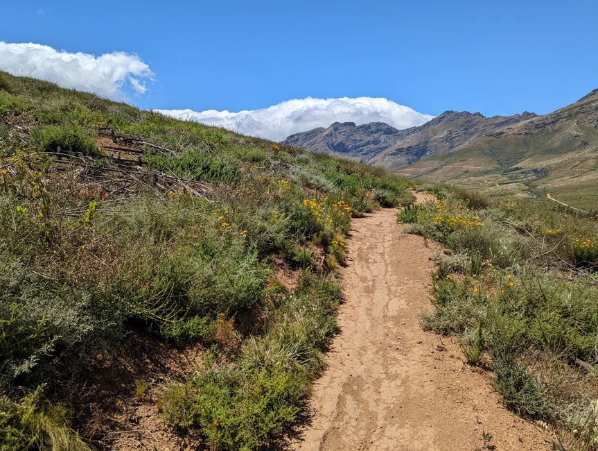 Biken im Jonkershoek Nature Reserve