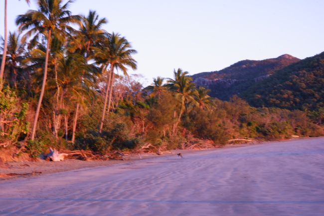 Rainbow Beach, Agnes Waters (1770) and the way to Airlie Beach
