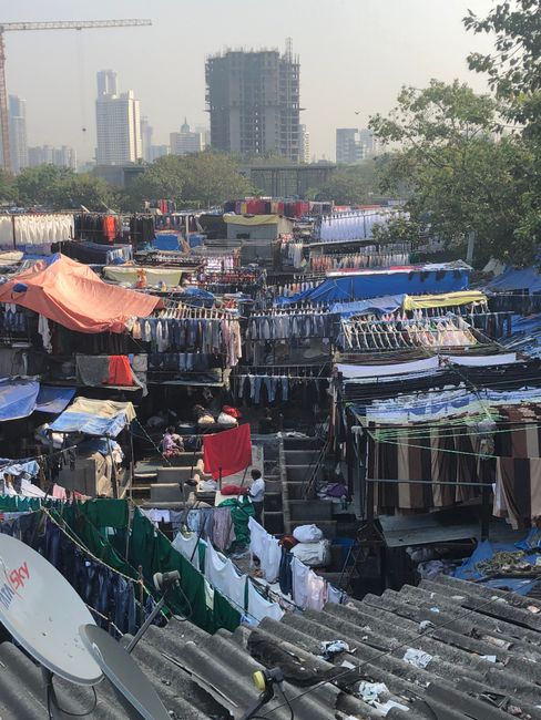 Dhobi Ghat - Laundry