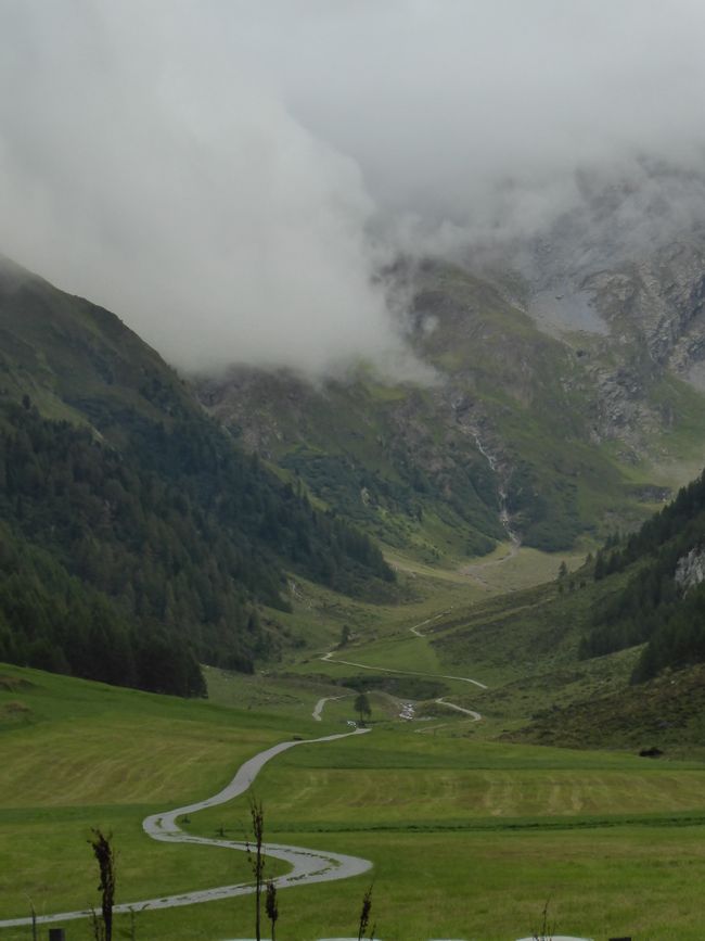 Hiking in Gschnitztal, wildflowers in Schmirntal