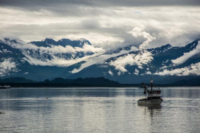 Tage 147 bis 148: Eisberg direkt voraus – Fahrt zum Columbia Gletscher und das Ende der Pipeline in Valdez