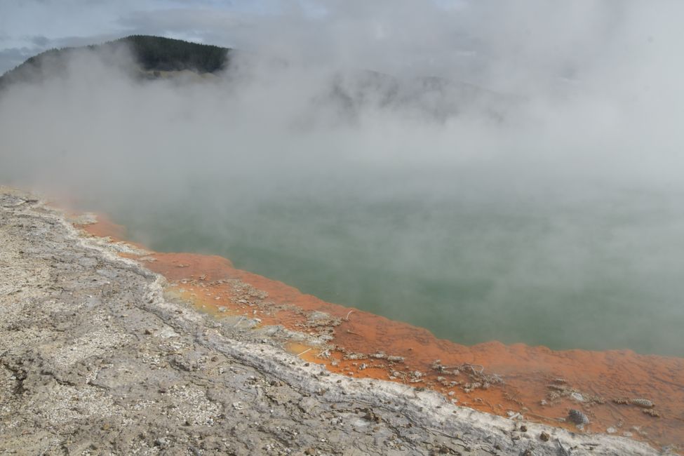 Thermalgebiet Wai-o-tapu - Champaign Pool