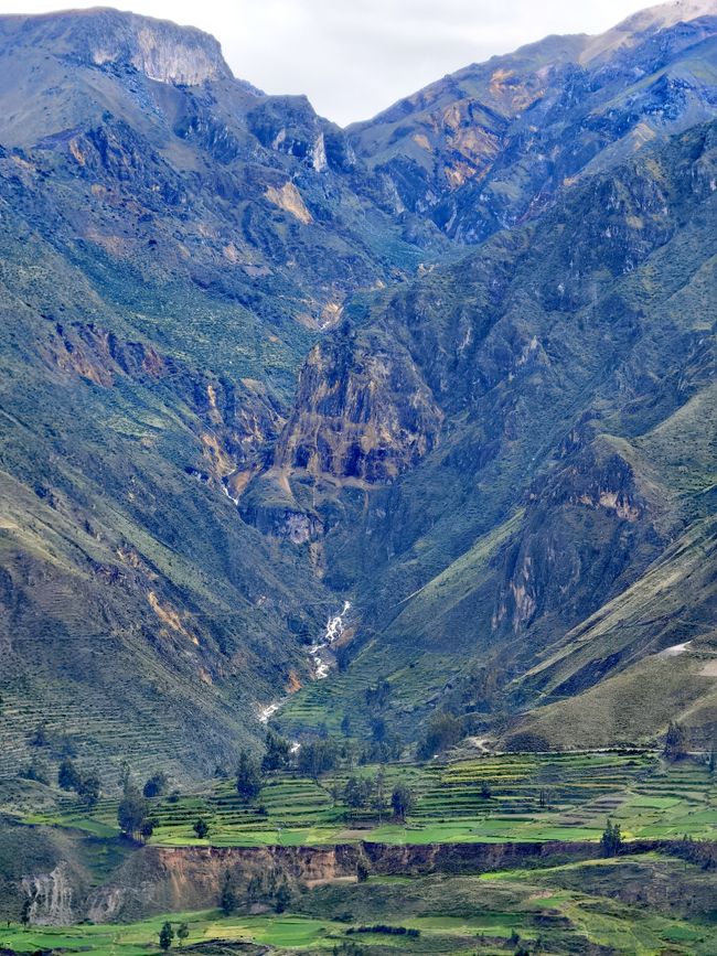 Arequipa / Colca Valley