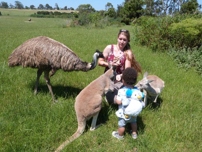 Phillip Island with Australian family