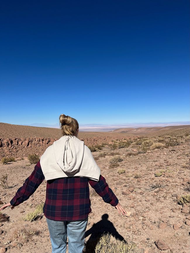 Im Hintergrund sieht man den Salar de Atacama