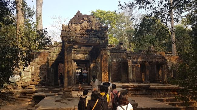Ta Phrom Tempel. 
