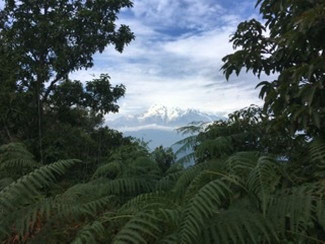 Blick zum Annapurna Massiv 