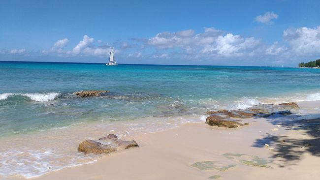 Barbados - Caribbean Pure