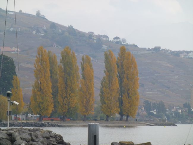 terrasse de lavaux