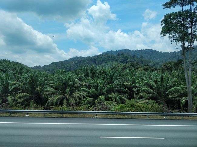 Landschaft Malaysia 
