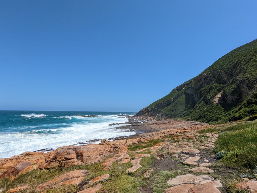Plettenberg Bay/Robberg Nature Reserve