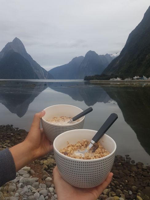 Frühstück am Milford Sound