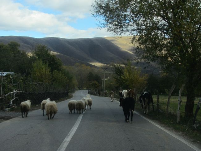 Bajram Curr - in the northern mountains of Albania