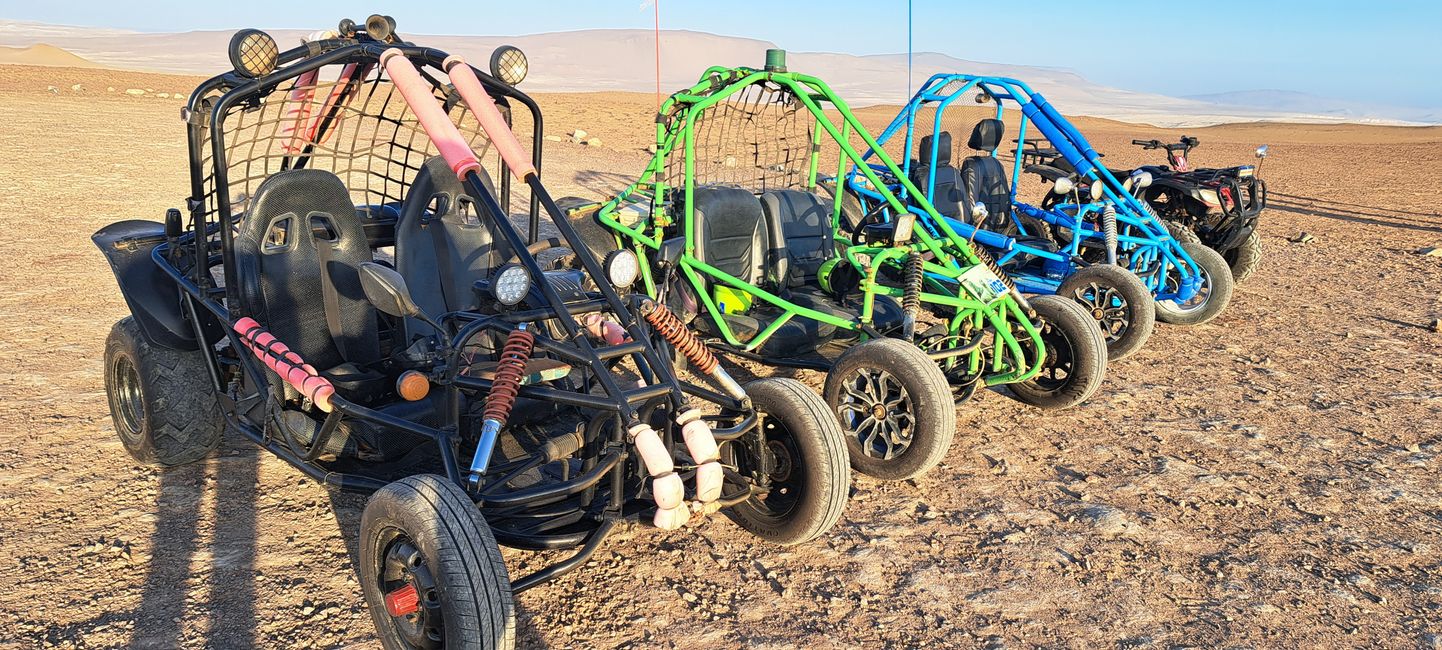 Paracas - Buggy tour in the national park