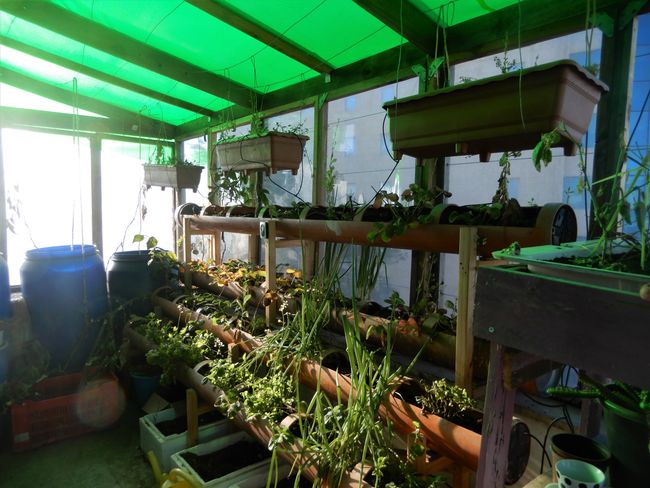 ... and a small greenhouse