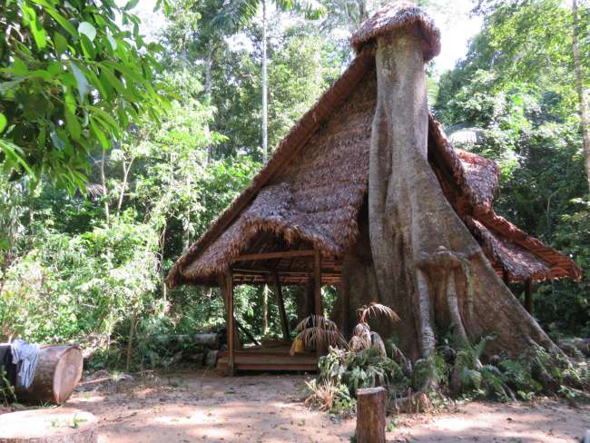 Dschungel Lodge