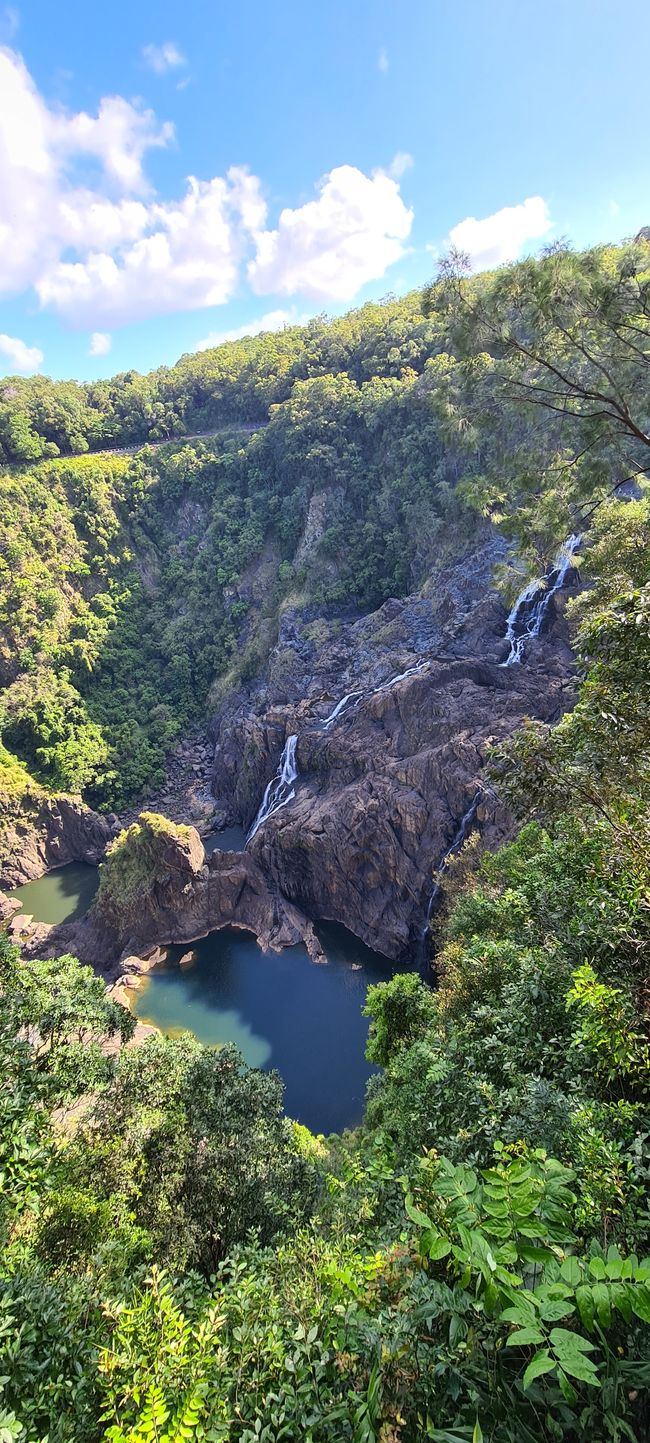 Day 14/15 - Kuranda