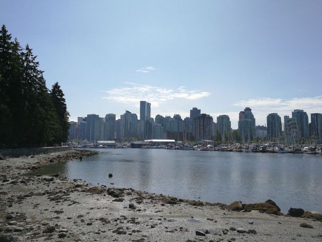 Sicht vom Stanley Park auf Vancouver Skyline