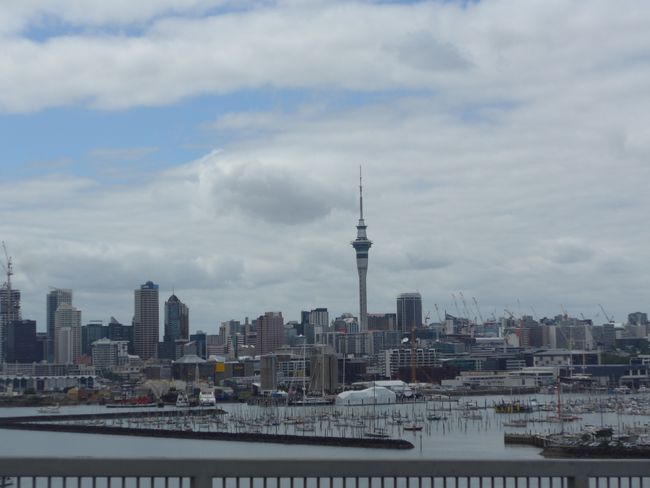 Silvester in Auckland (Neuseeland Teil 14)