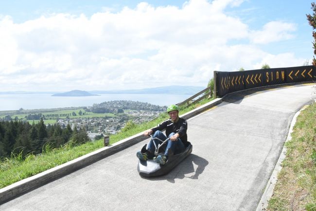 Skyline Luge Rotorua