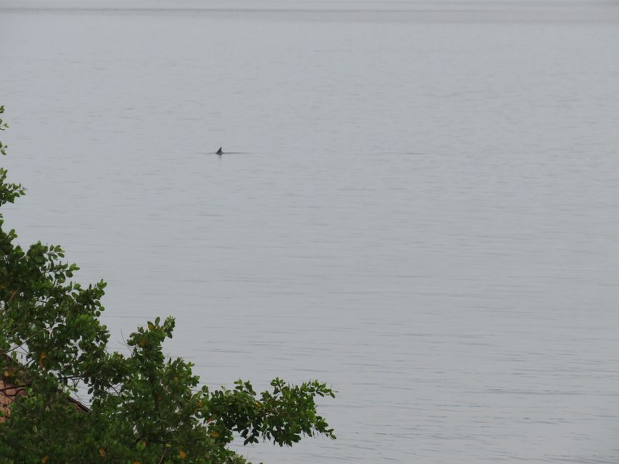 5. Bocas del Toro - Dolphin Bay Hideaway