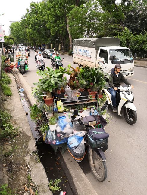 Hanoi - Die Hauptstadt