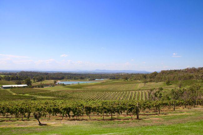 Hunter Valley und Winetasting