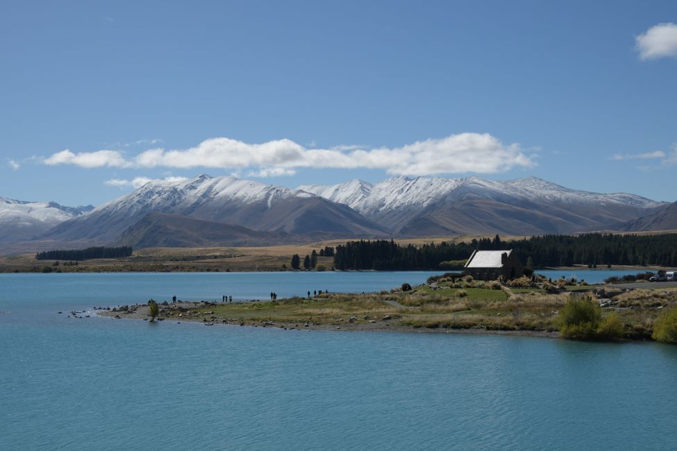 New Zealand - South Island - Mt.Cook Region - Lake Tekapo
