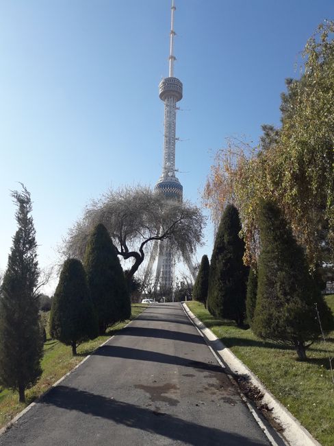 the television tower again