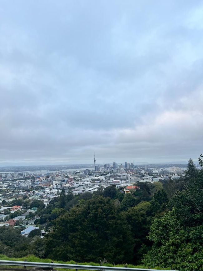 Auckland view from Mount Eden