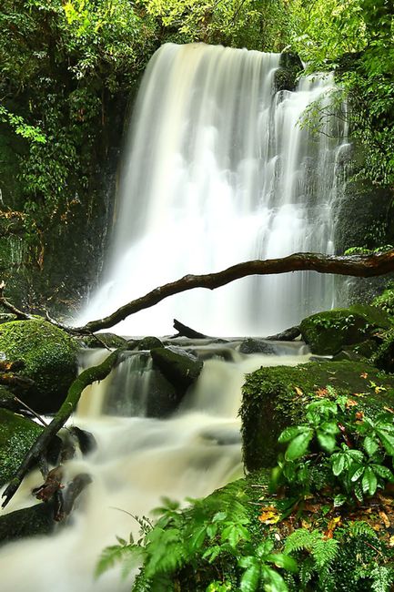 Matai Falls 