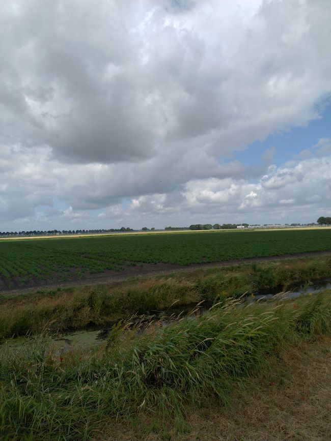 Day 19: Winschoten - Delfzijl (via Nieuwolda 24.5 km)