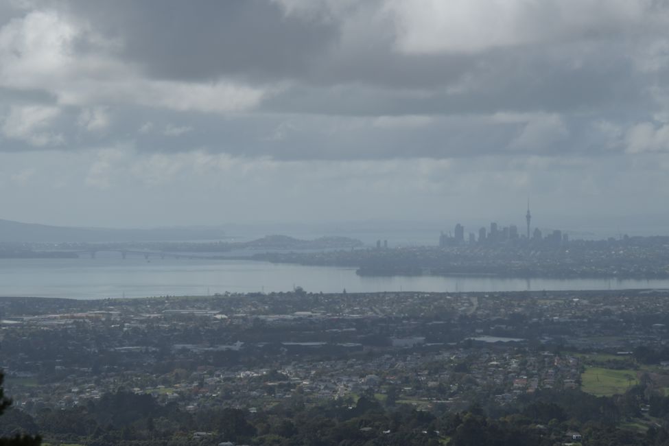 Waitakere Ranges - Blick nach Auckland