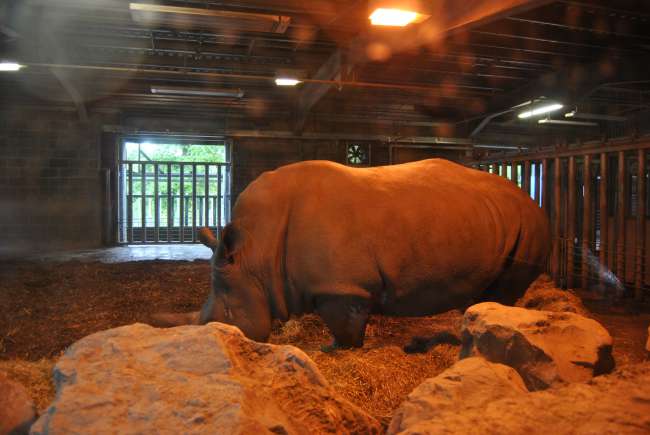 Dublin Zoo (25.09.2016)