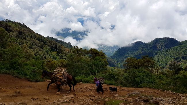 Von Quetzaltenango nach San Pedro - durch die Nebelwälder des Hochlands