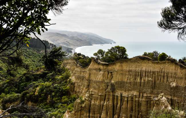 20.03.2017 - Neuseeland, Kaikoura