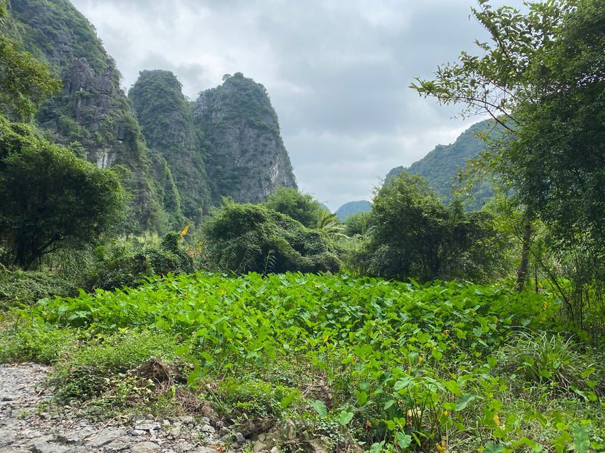 22.10.2022 – Von der nassen in die trockene Ha Long Bucht