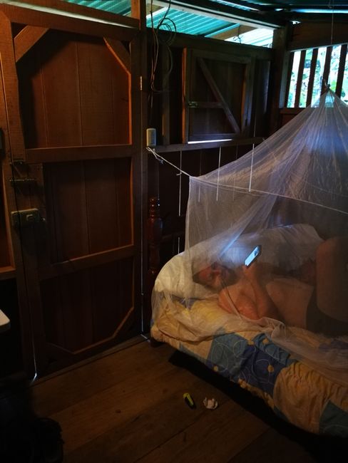 Cheers to the mosquito net!