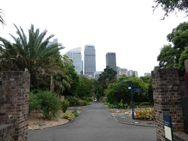 View over the botanical garden