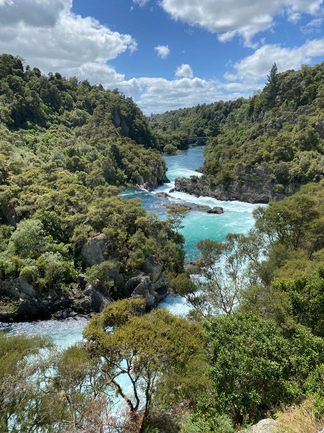 Waikato River to Aratiatia Rapids