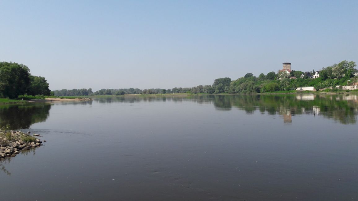 Endlich die Elbe in Magdeburg erreicht