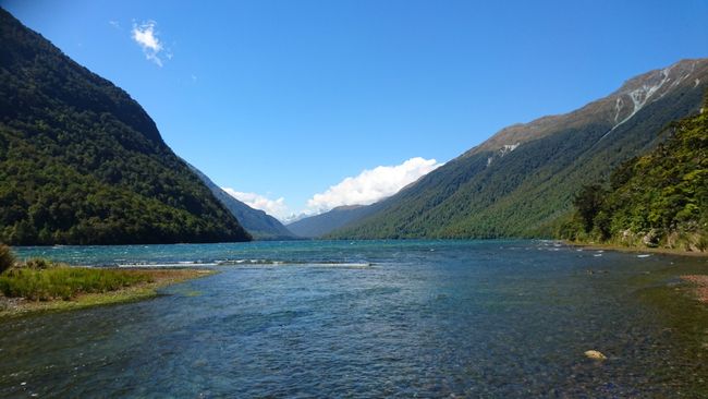 Lake Gunn Nature Walk