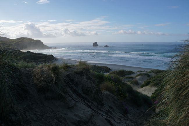 Dunedin und die Otago Peninsula