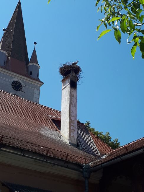 Rumänien Tag 3 - Evangelische Kirchenburg Großau