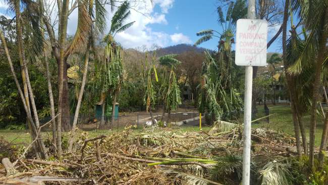 Whitsunday Islands - Destruction by Cyclone Debbie