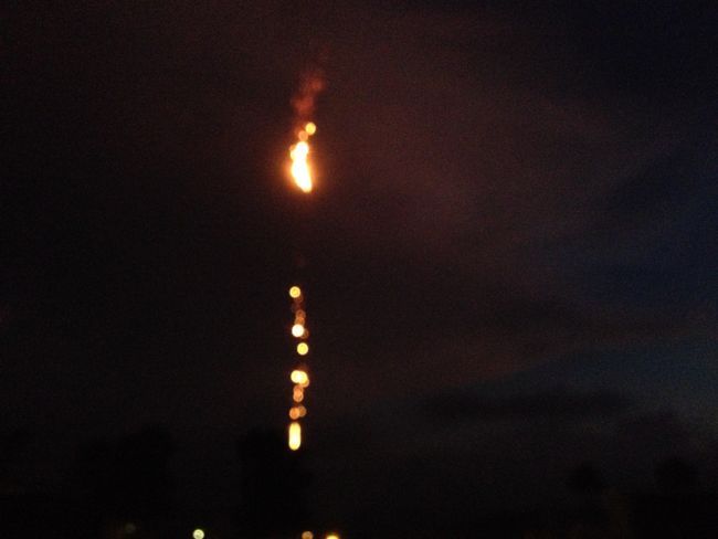 Feuerdrachen