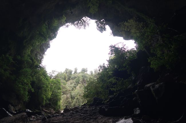 Oparara Arch - Blick aus der Höhle hinaus