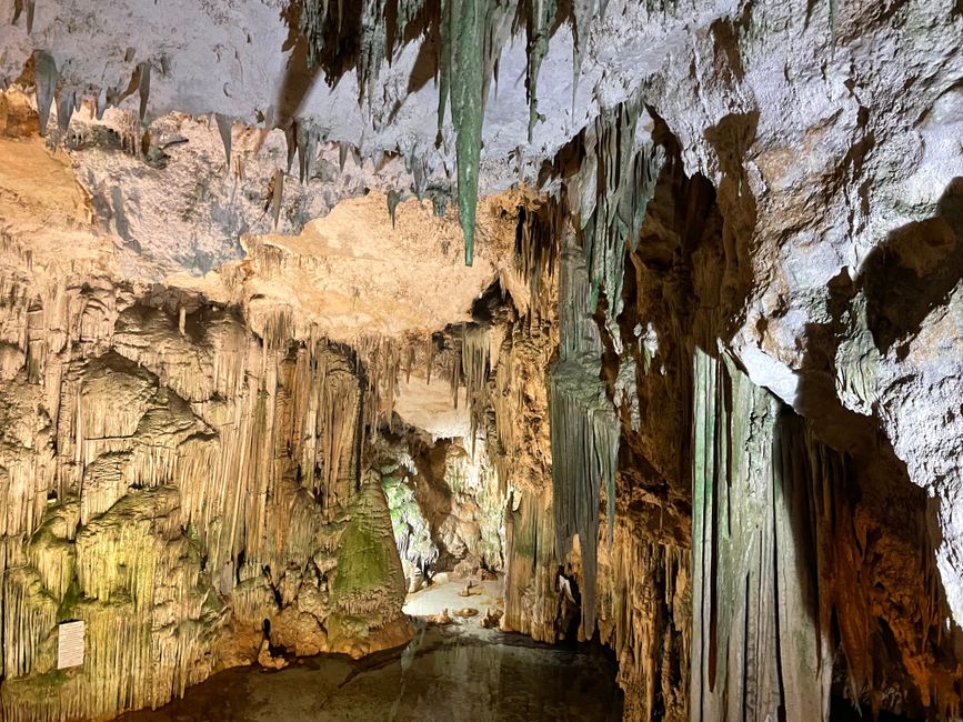 Alghero und Grotta di Nettuno