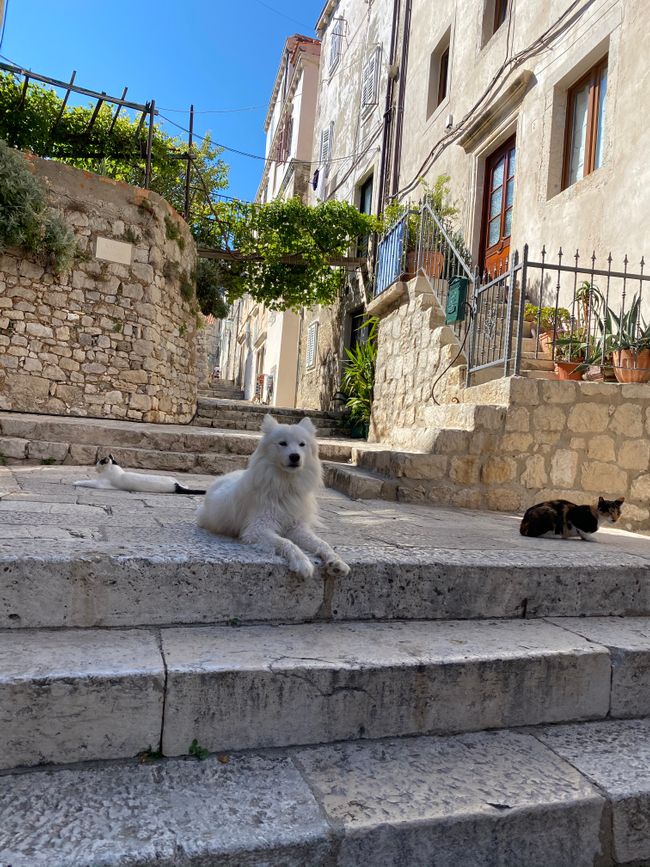 Dubrovnik Teil 1
