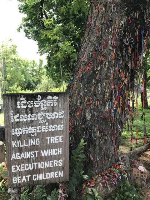 Killing Fields / Killing Tree